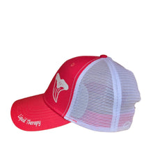 Sharks Tooth Coral Ponytail Hat