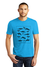 Sharks and Sharks Teeth Tee